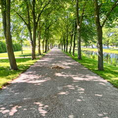 24-06-26 10-43-07 9918